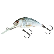 Salmo  Hornet 4 FL Real Dace