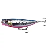 Pink Belly Sardine